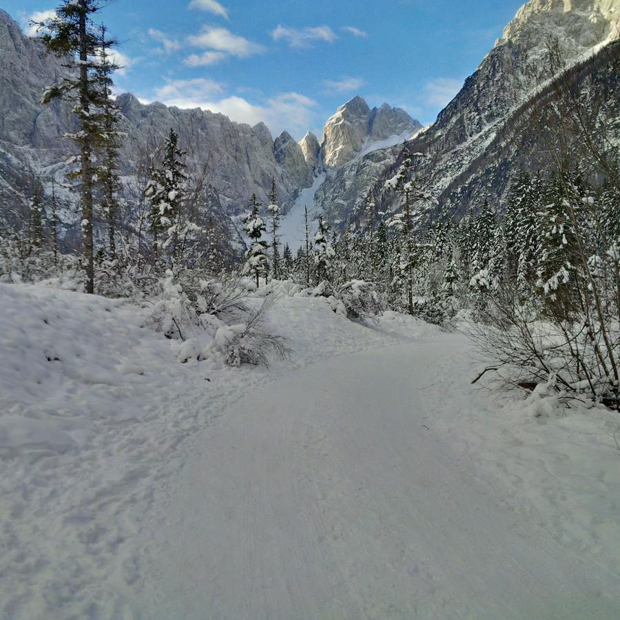 House Neza Appartement Kranjska Gora Buitenkant foto