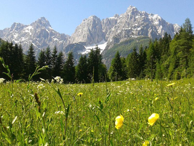 House Neza Appartement Kranjska Gora Buitenkant foto
